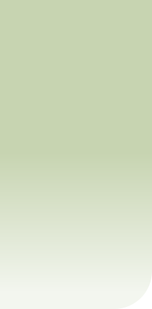 wp599c8466.png